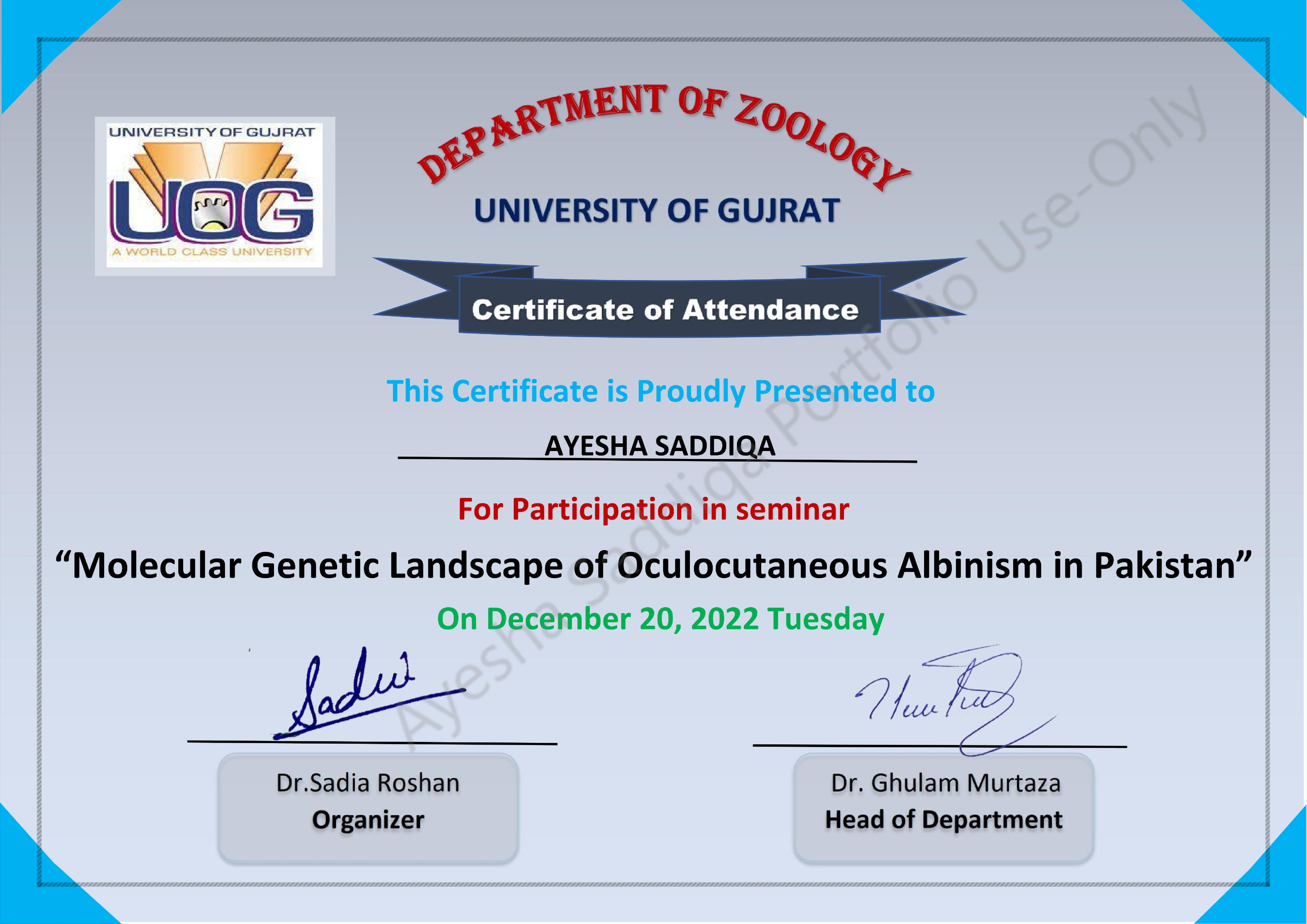 Certificate 5